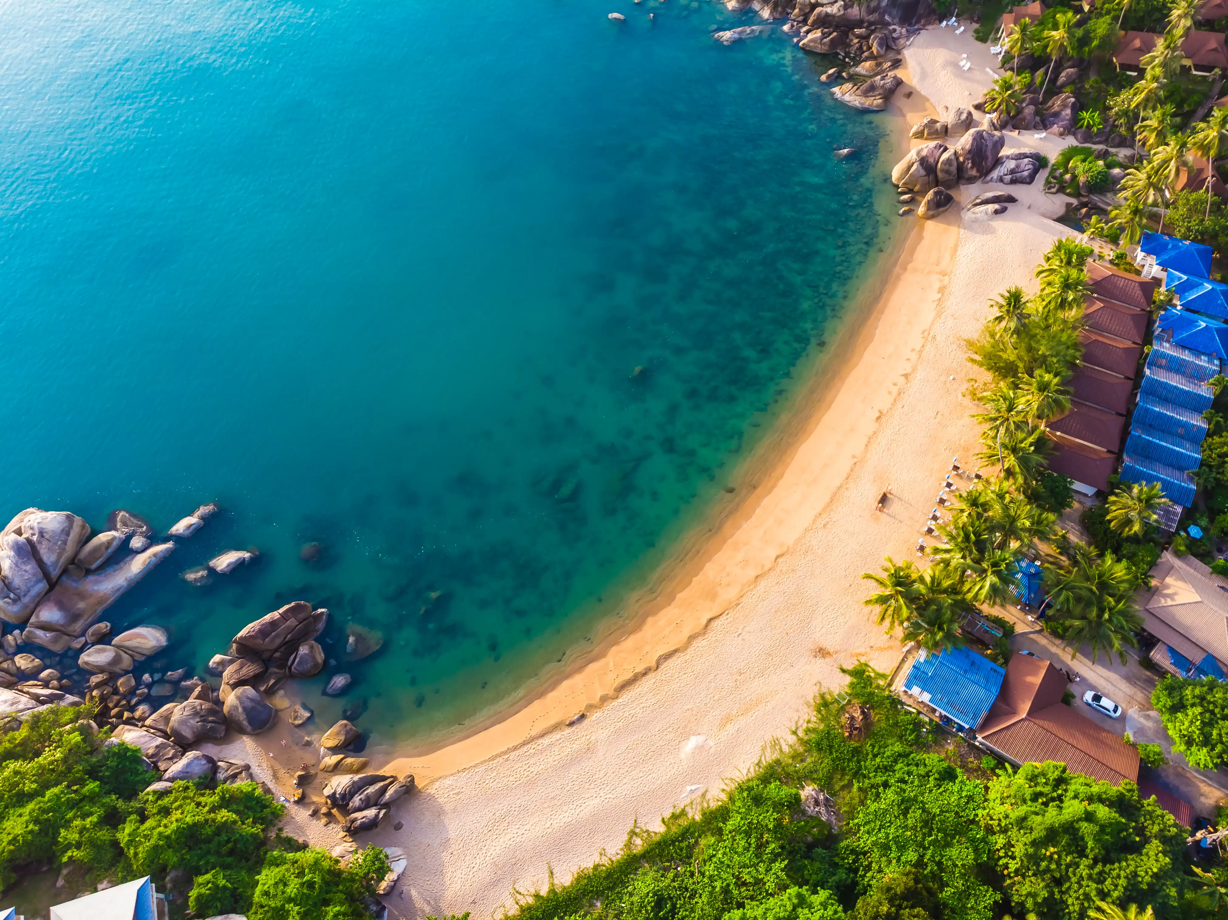 Unawatuna Beach palm trees